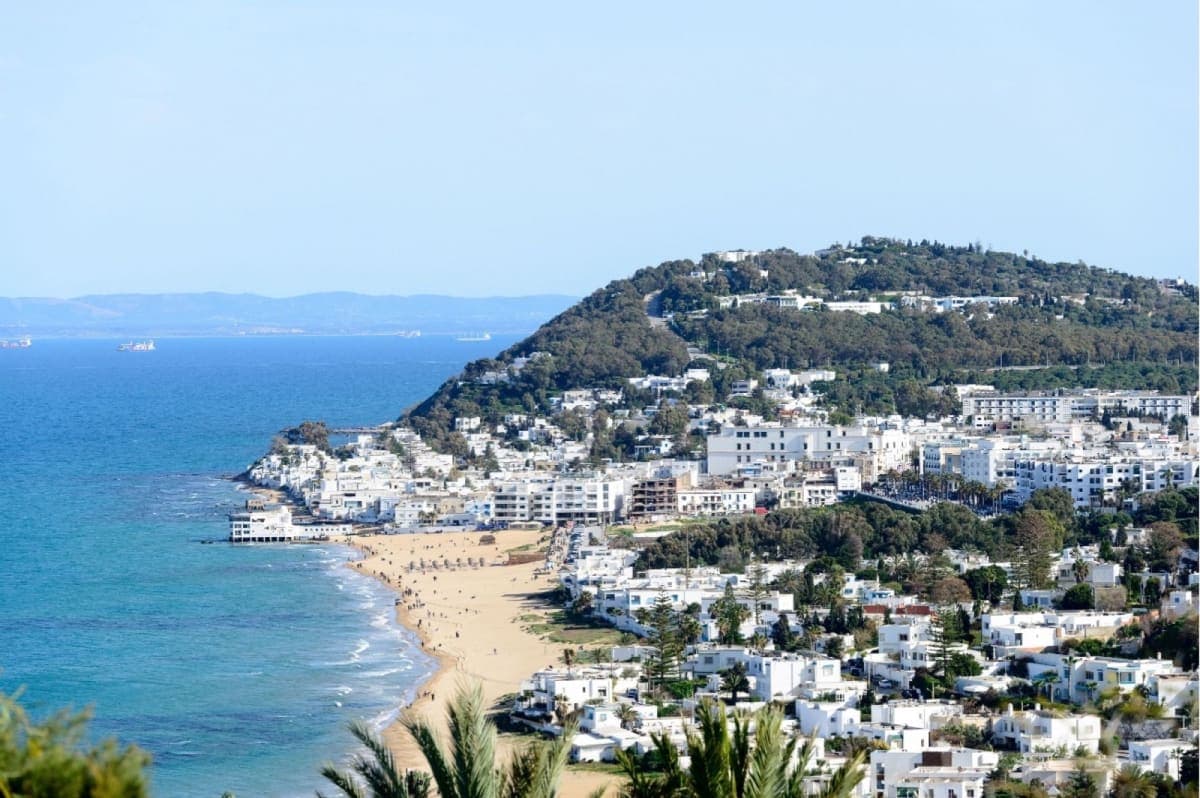 The coast northeast of Tunis, with the beach, the wooded headland and white houses climbing the hillside toward Sidi Bou Said